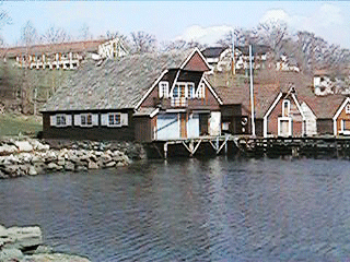 mbnost.gif (65448 bytes)